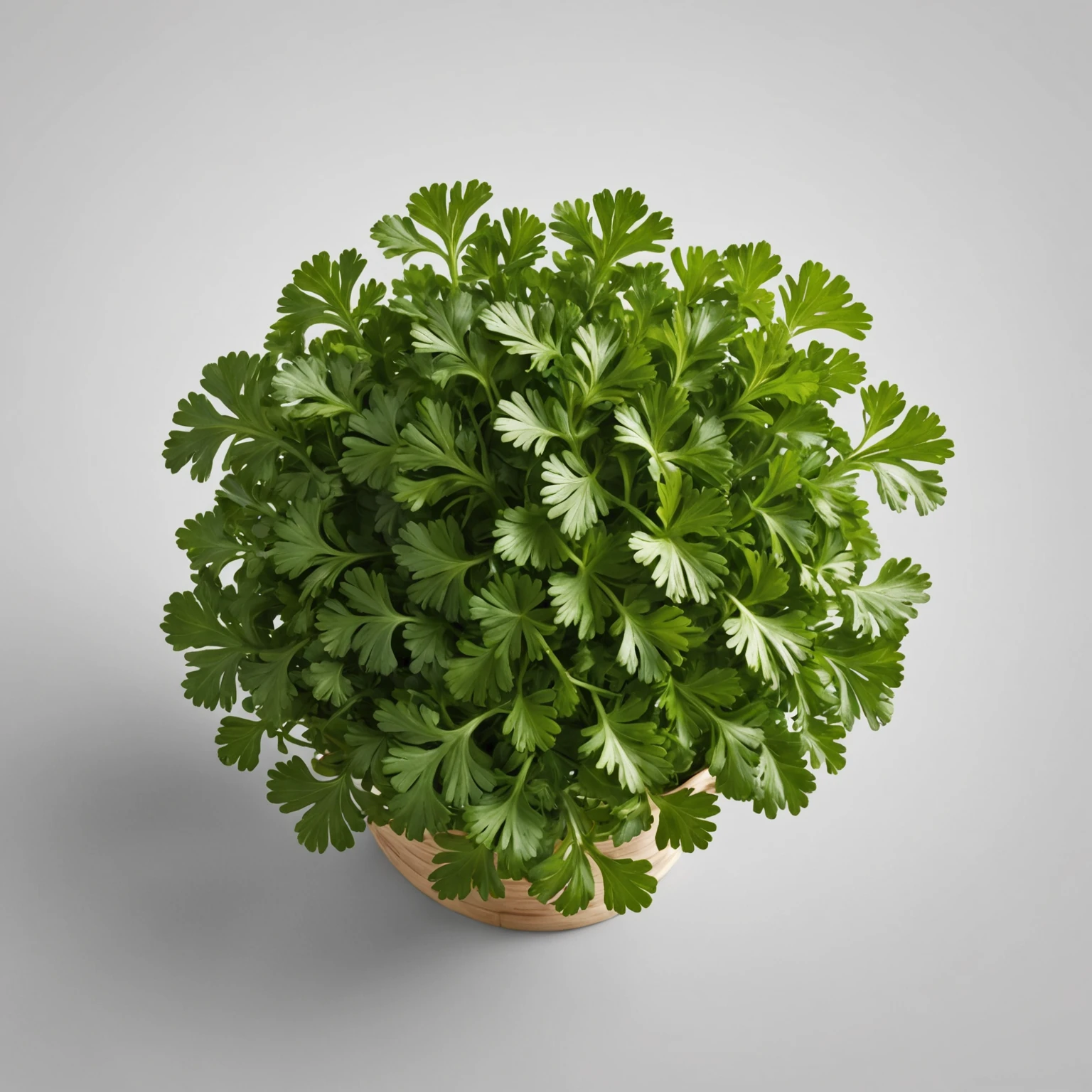 Fresh Parsley recommended for Hearty Beef and Barley Soup with Root Vegetables
